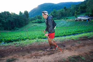 BIB: 
                            <button type="button" onclick="openModal(19174741)" class="btn btn-primary btn-sm float-right btn-popup" data-toggle="modal" data-target=".modal-high-quality">
                        <i class="fas fa-shopping-cart"></i> Add to Cart
                    </button>
                                            <button type="button" onclick="isThisMe(19174741, true)" class="btn btn-success btn-sm float-right btn-popup btn-isme hidden" data-toggle="tooltip" data-placement="bottom" title="นี่คือรูปของคุณใช่ไหม คลิกที่นี่เพื่อเอาเข้าอัลบั้ม">
                        <i class="fas fa-plus"></i> Add to album
                    </button>
                    <button type="button" onclick="isThisMe(19174741, false)" class="btn btn-warning btn-sm float-right btn-popup btn-isnotme hidden">
                        <i class="fas fa-ban"></i> Remove from album
                    </button>